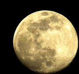 Luna del 7 aprile 2020