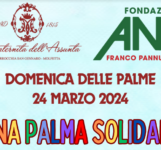 Una Palma Solidale. Domenica delle Palme del 24 marzo 2024
