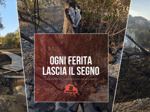 Lama Martina, dopo l’incendio interviene Legambiente: «Ha raggiunto il punto di rottura»