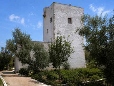 Torre Cicaloria, sentinella di pietra tra gli ulivi di Molfetta